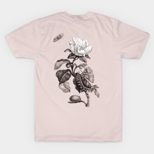 White Rose Flower with Butterflies. Vintage Botanical Illustration T-Shirt